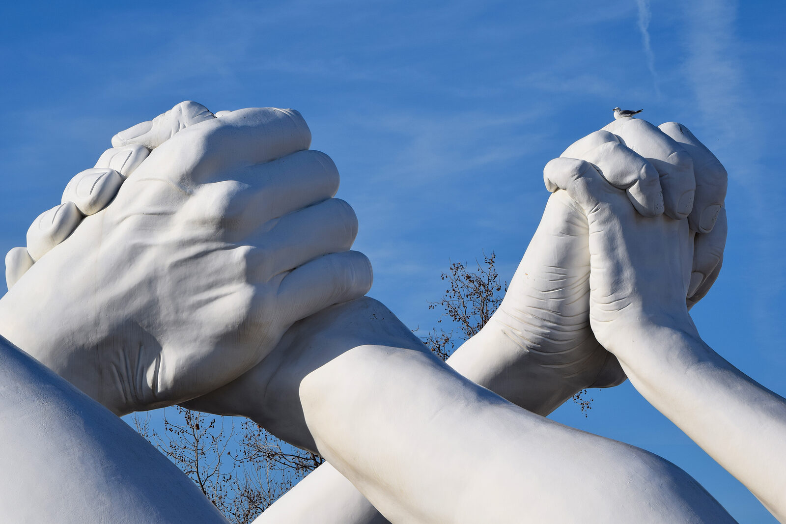 Arsenale : Building Bridges: Help and Love