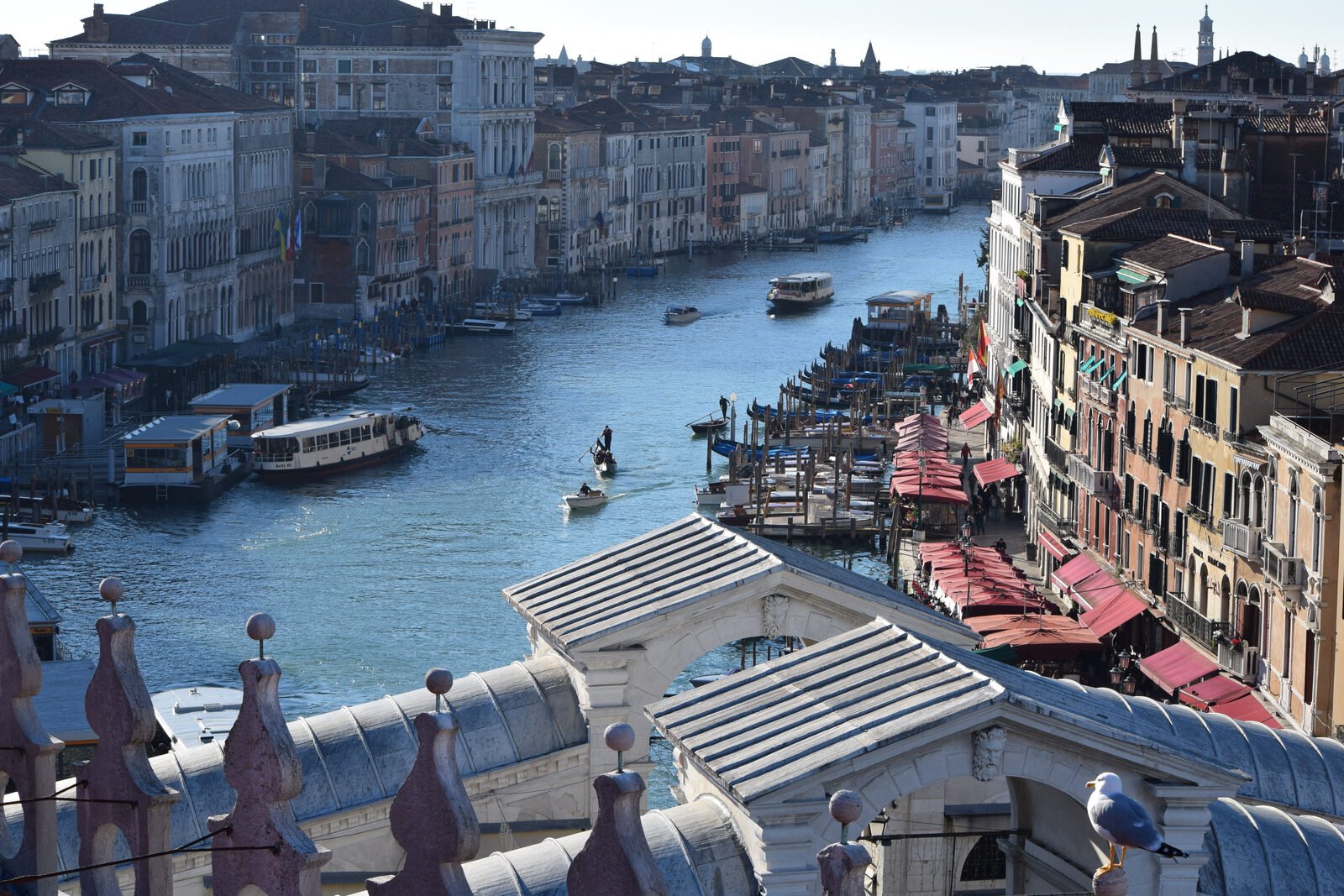 Canal Grande : View with Rialto Bridge in foreground, from Fondaco dei Tedeschi