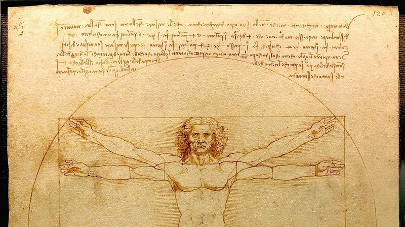 Accademia Galleries : While Leonardo da Vinci's Vitruvian Man is the most renowned work in the Gallery, it is only exhibited for visitors on rare occasions