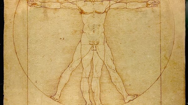 Gallerie dell'Accademia : While Leonardo da Vinci's Vitruvian Man is the most renowned work in the Gallery, it is only exhibited for visitors on rare occasions