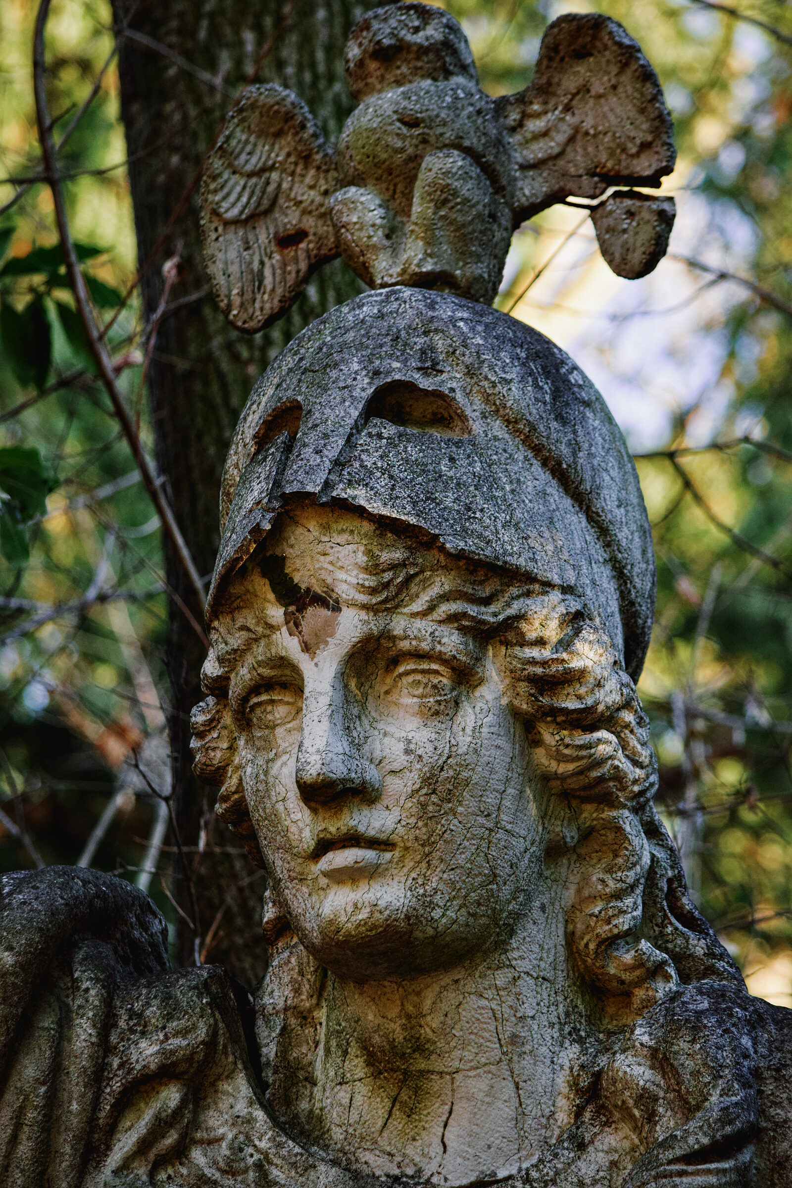 Biennale Gardens : The gardens are adorned with numerous statues, each adding a touch of artistic charm.