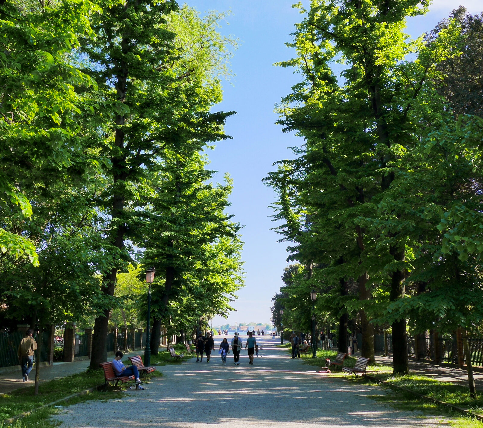 Giardini della Biennale : And the wide paths contrast with the city's narrow alleys.