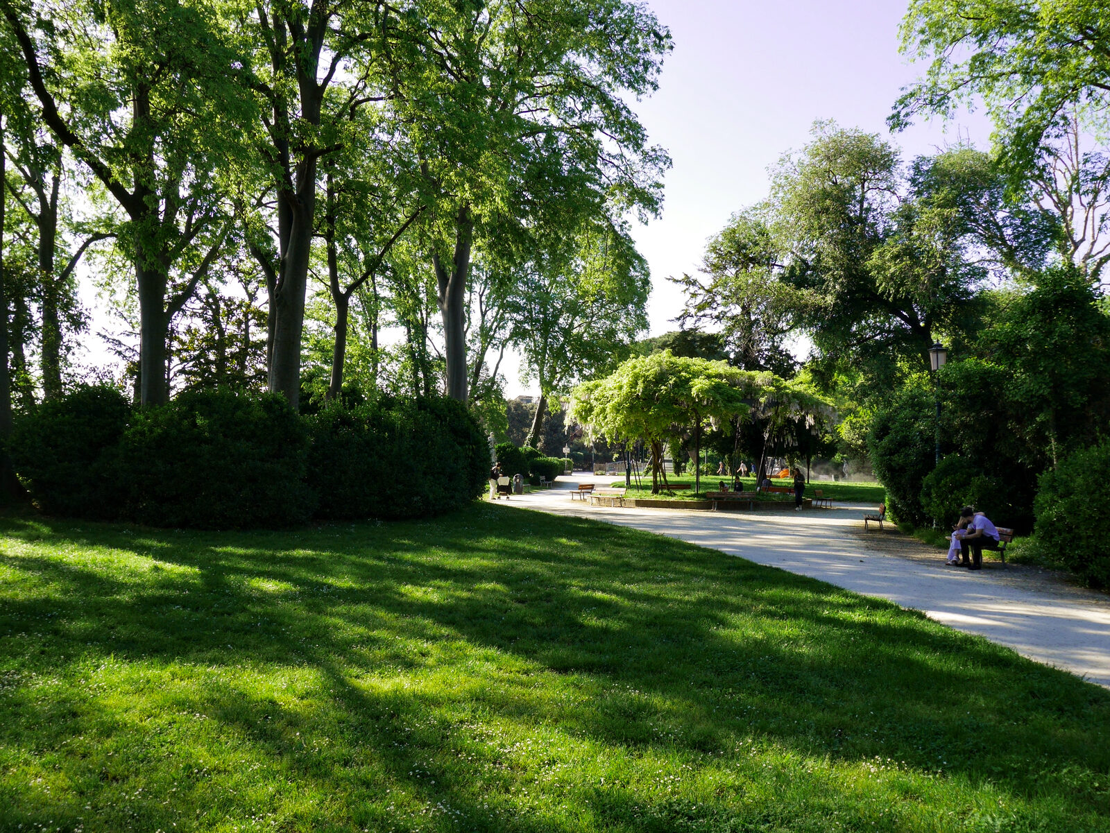 Giardini della Biennale : Inside the gardens, the lush greenery offers a refreshing contrast to the city's usual palette.