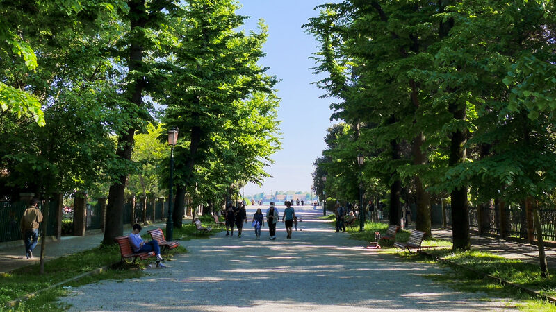 Giardini della Biennale : And the wide paths contrast with the city's narrow alleys.