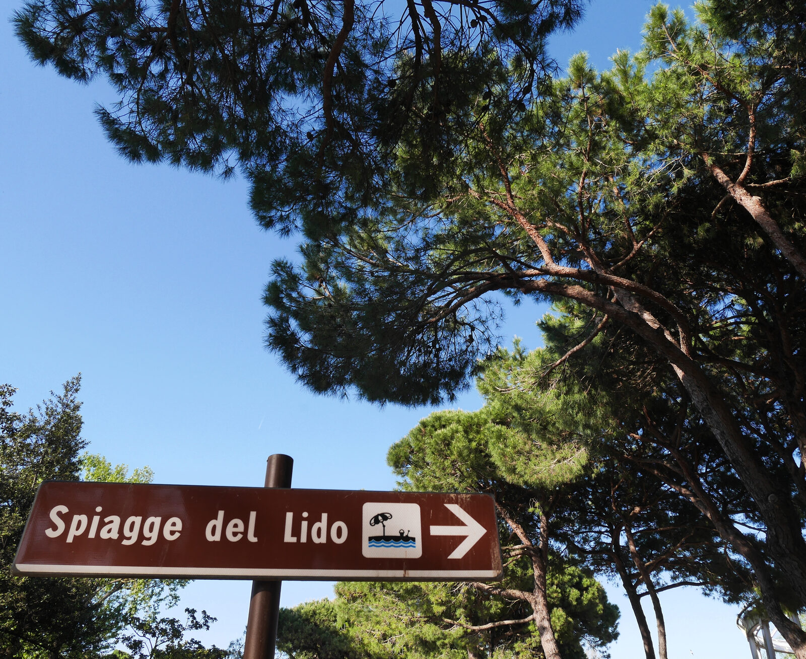 Lido : You’ve arrived! And yes, those lovely pine trees are all part of Lido’s laid-back charm