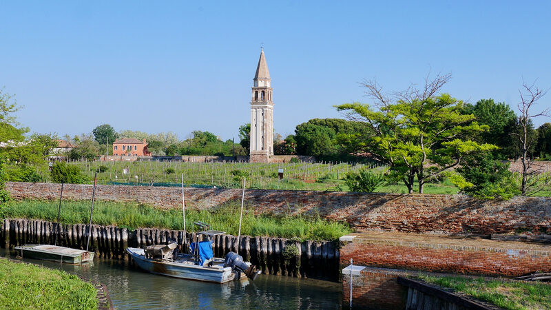 Mazzorbo : View of the island’s northern end, dominated by the iconic bell tower of the former church of San Michele Arcangelo