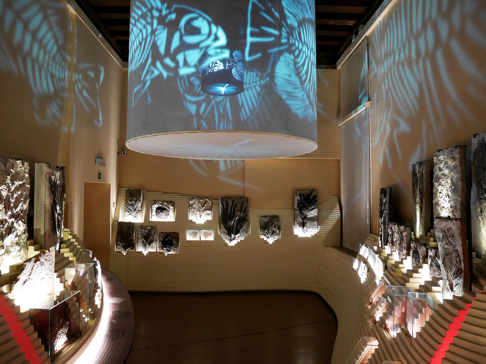 Natural History Museum : Part of the museum's allure stems from its beautifully crafted and creatively curated exhibits