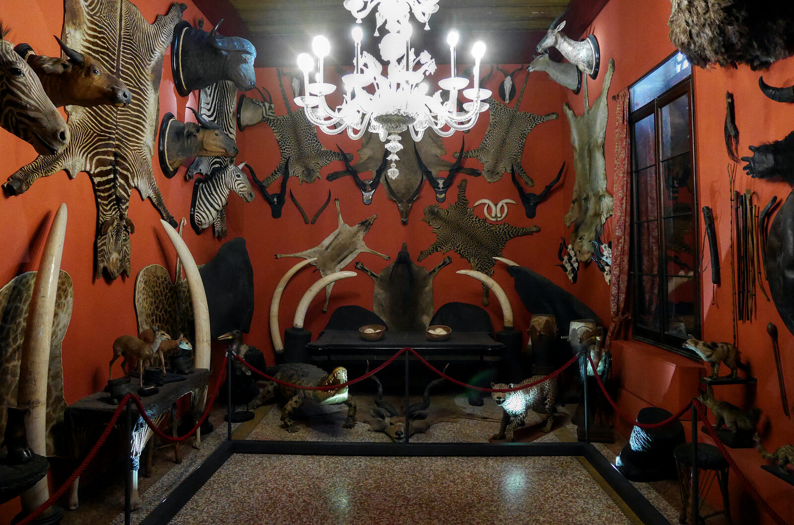 Natural History Museum : Count Giuseppe de Reali (1877-1937) put together a sizable collection of colonial style items