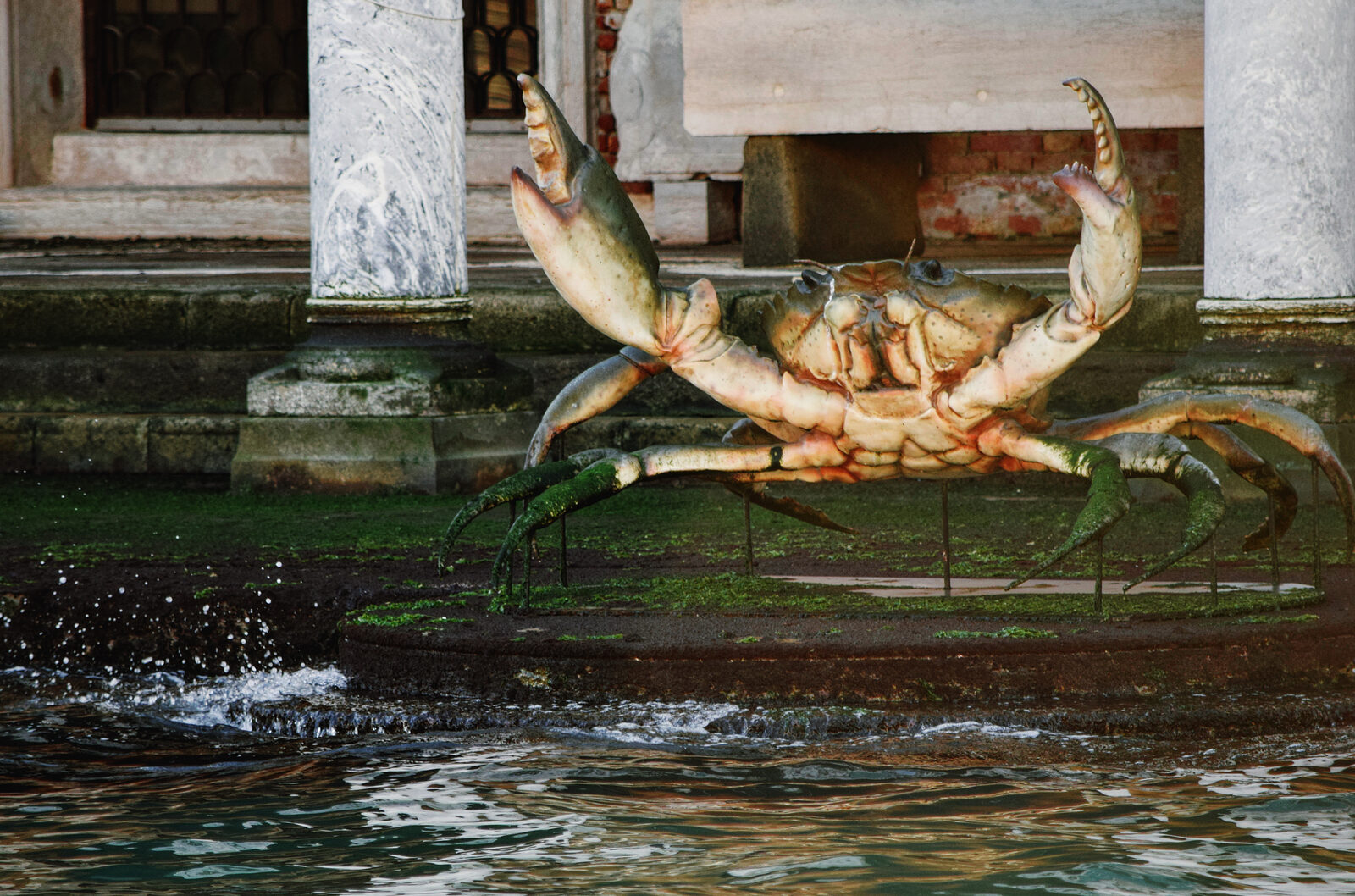 Natural History Museum : Occasionally, a giant artificial crab stands guard outside the museum