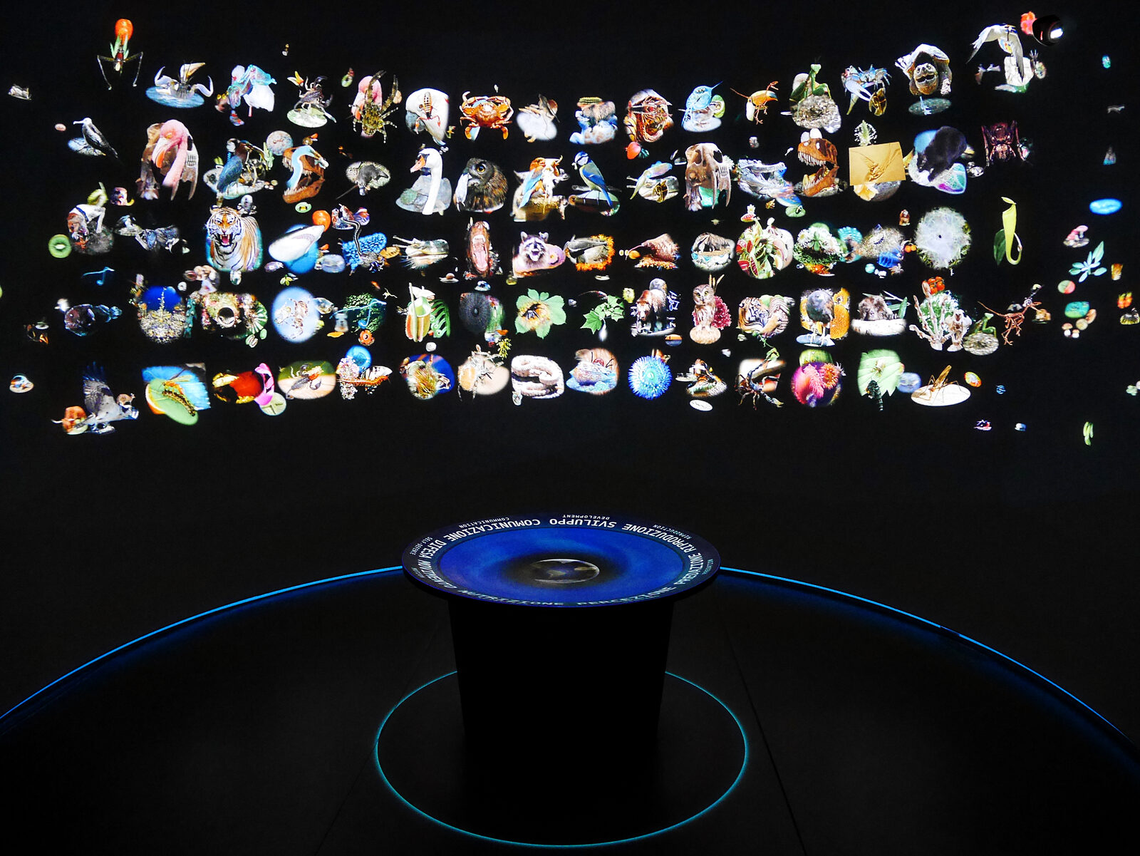 Natural History Museum : The installations within this section offer a high level of interactivity
