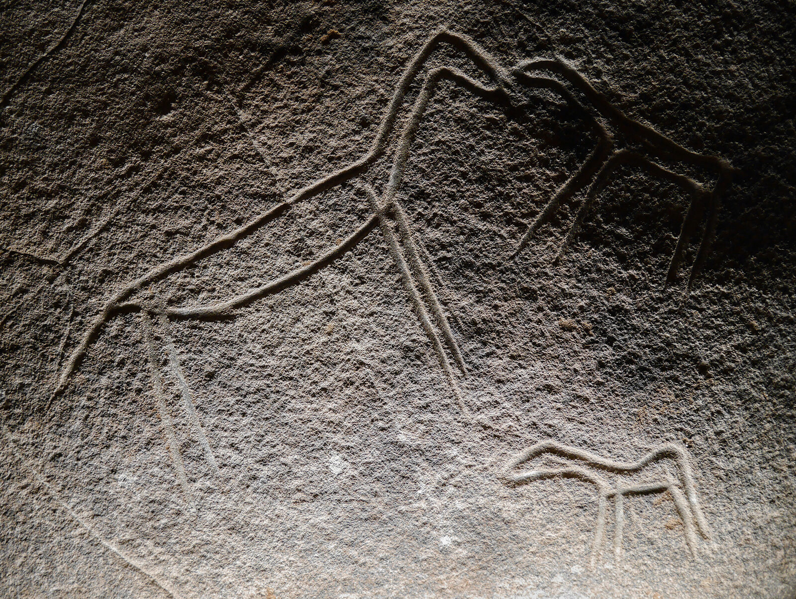 Natural History Museum : Subsequently, the earliest forms of art begin to emerge