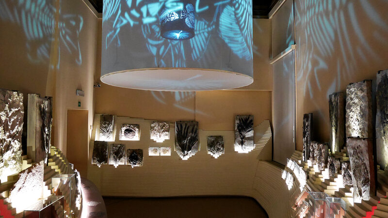 Natural History Museum : Part of the museum's allure stems from its beautifully crafted and creatively curated exhibits