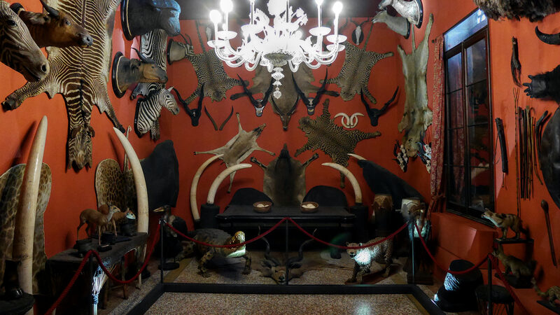Natural History Museum : Count Giuseppe de Reali (1877-1937) put together a sizable collection of colonial style items