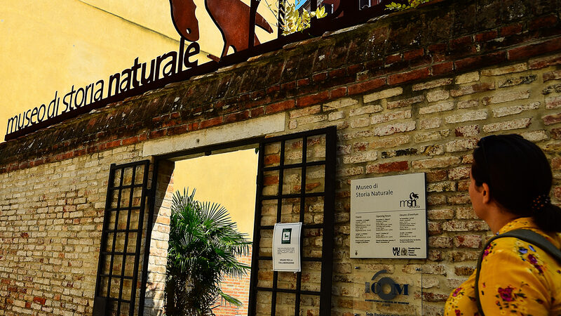 Natural History Museum : The entrance to the museum