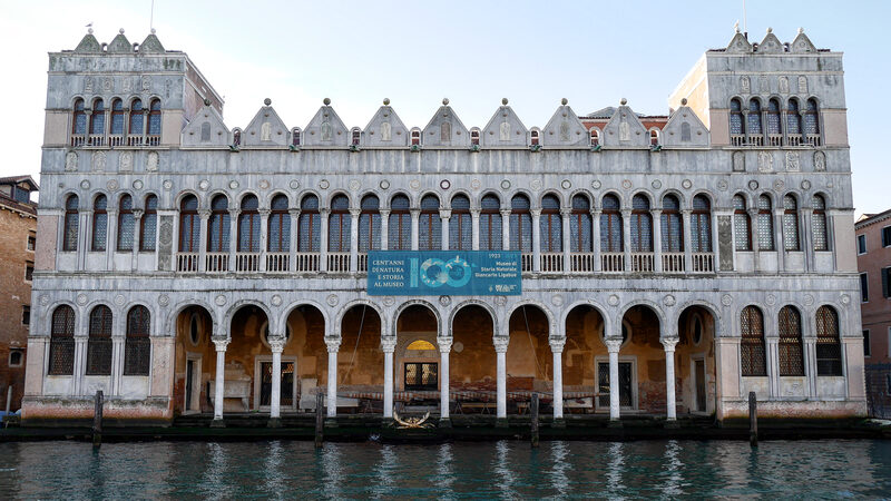 Natural History Museum : The museum is situated in the historic Fontego dei Turchi, with views overlooking the Canal Grande