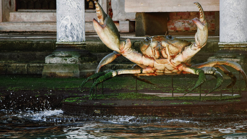 Natural History Museum : Occasionally, a giant artificial crab stands guard outside the museum
