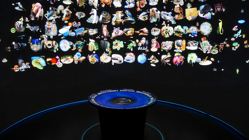 Natural History Museum : The installations within this section offer a high level of interactivity