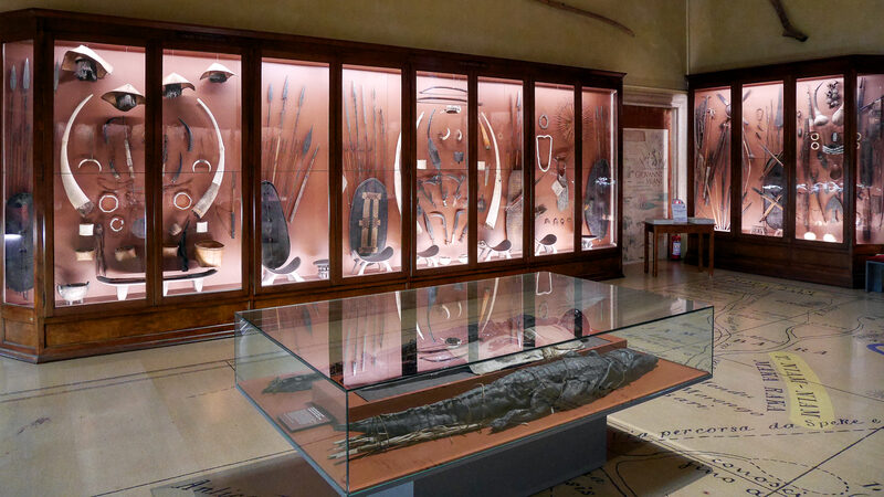 Natural History Museum : Objects collected during Giovanni Miani's 1859 expedition in search of the Nile's source