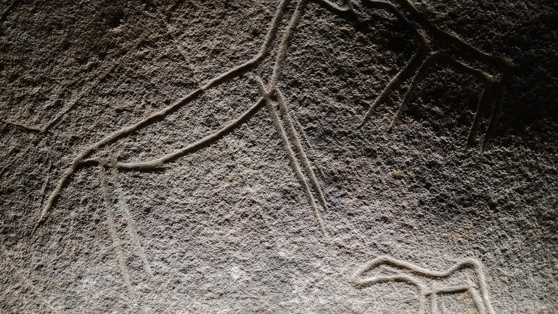 Natural History Museum : Subsequently, the earliest forms of art begin to emerge