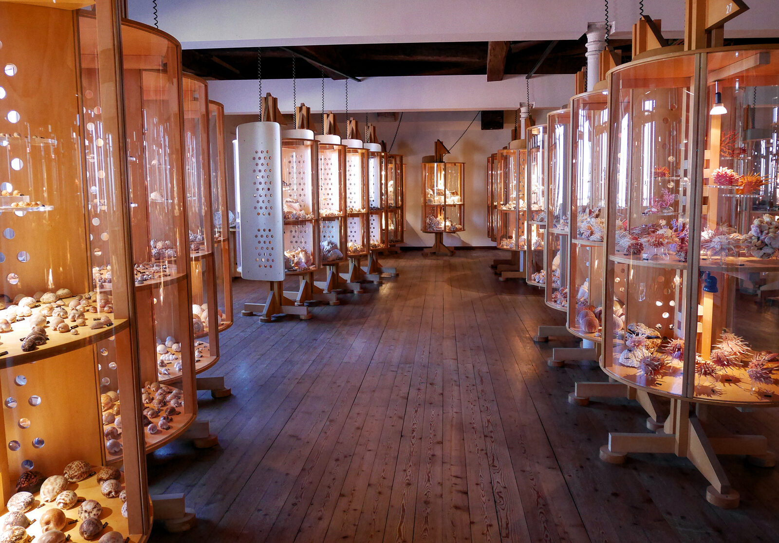 Naval History Museum : On the top floor, you'll find a variety of small marine invertebrates on display