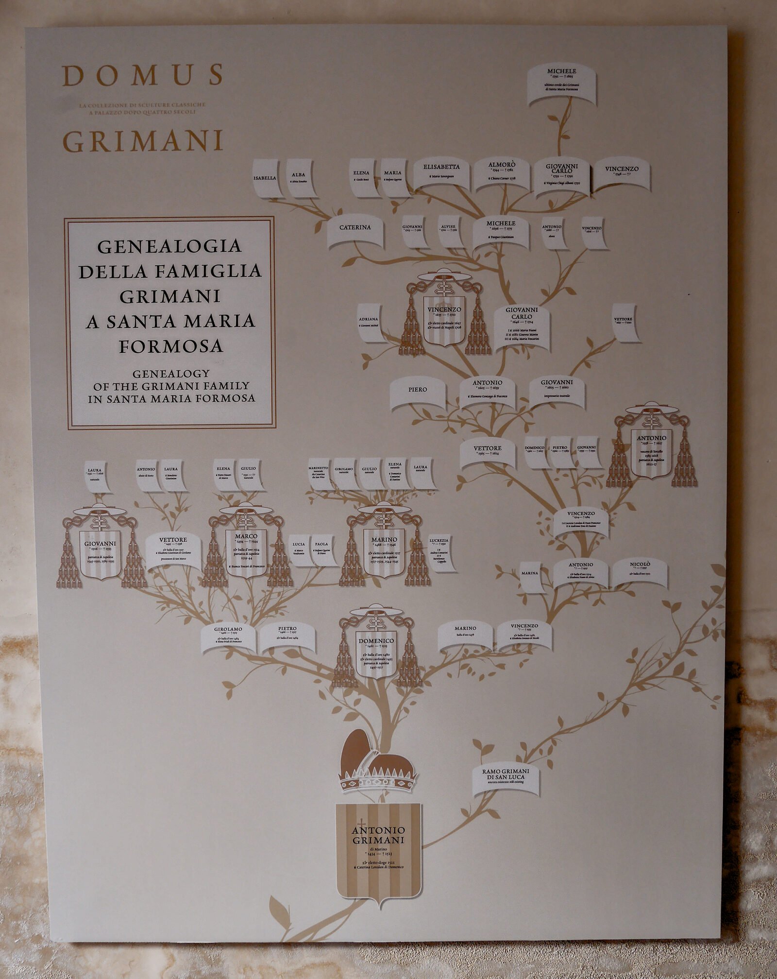 Palazzo Grimani : The Grimani family's genealogical tree (Giovanni can be found on the leftmost leaf)