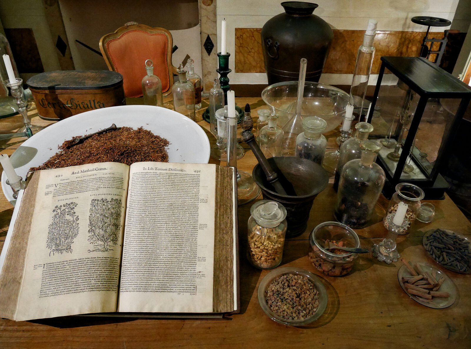 Palazzo Mocenigo : Pietro Andrea Mattiolo's 16th-century herbarium showcases the art of distillation, among other botanical techniques