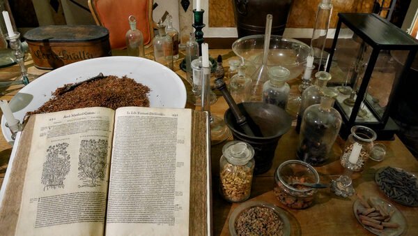 Palazzo Mocenigo : Pietro Andrea Mattiolo's 16th-century herbarium showcases the art of distillation, among other botanical techniques