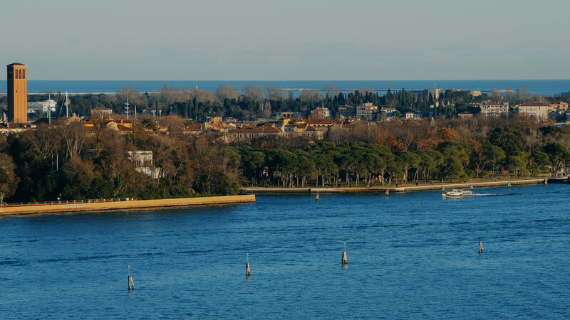 Parco delle Rimembranze : Os pinheiros icónicos, à direita de Jardins da Bienal, vistos do campanário de San Giorgio Maggiore