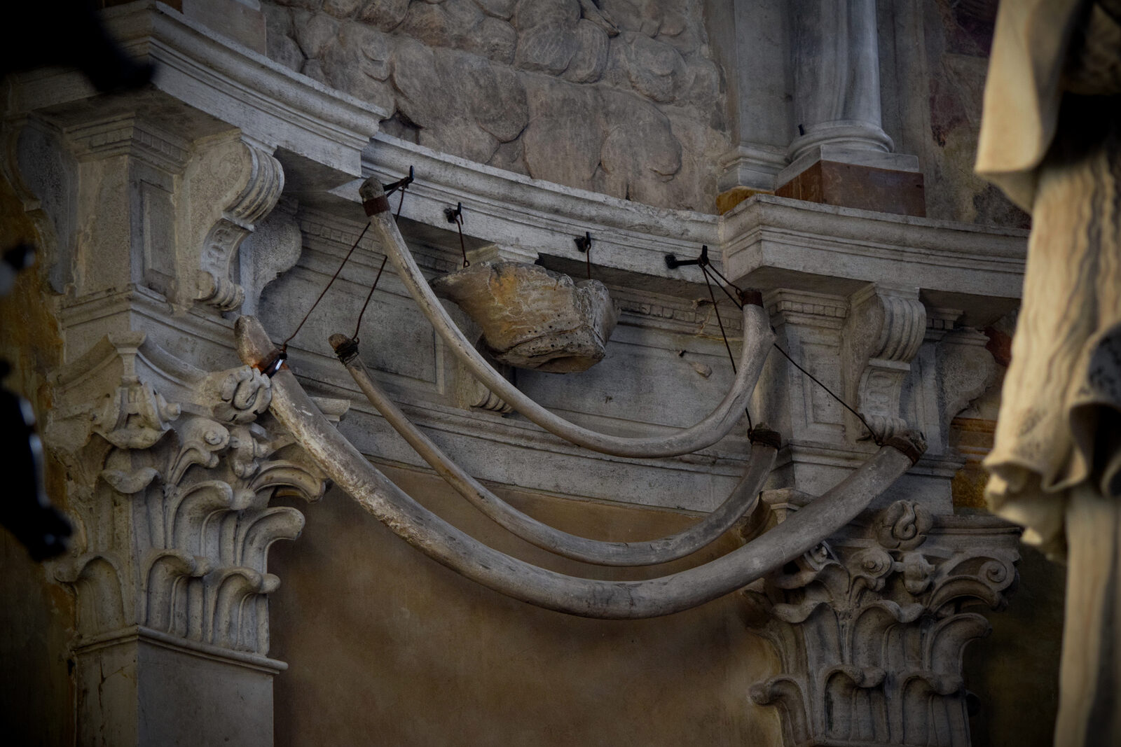 Santi Maria e Donato : Legend says the bones belong to a fierce dragon slain by the patron saint of the church