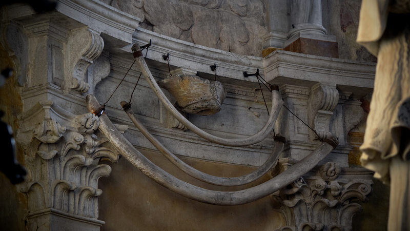 Santi Maria e Donato : Legend says the bones belong to a fierce dragon slain by the patron saint of the church