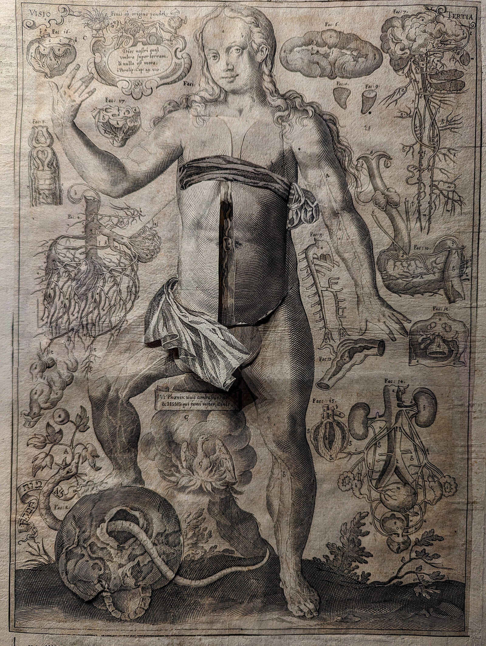 Scuola Grande di San Marco : It's astounding to consider how medicine was understood in ancient times