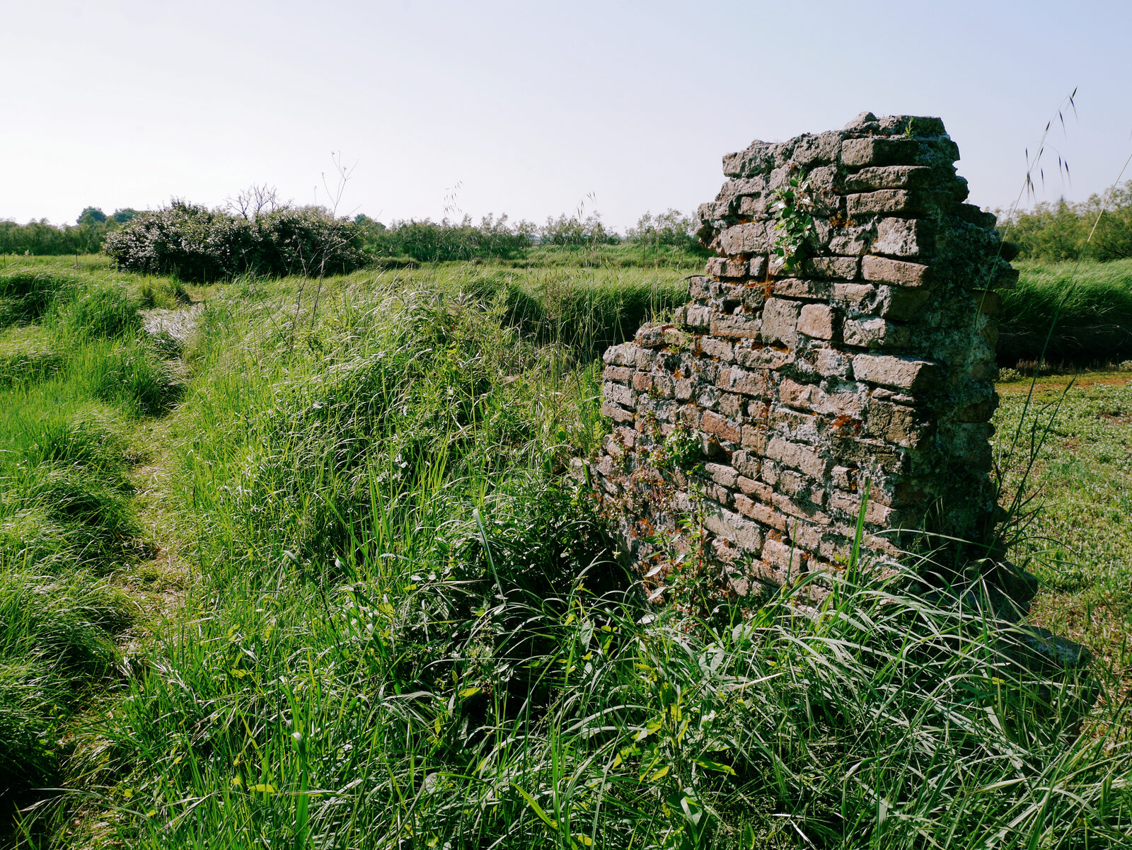 Torcello : Once a thriving island filled with palaces and churches, Torcello lost most of its buildings over time due to a mix of factors